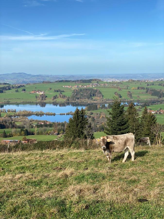 Moderne, 1-Zimmer Ferienwohnung Mit Bergblick Oy-Mittelberg Extérieur photo